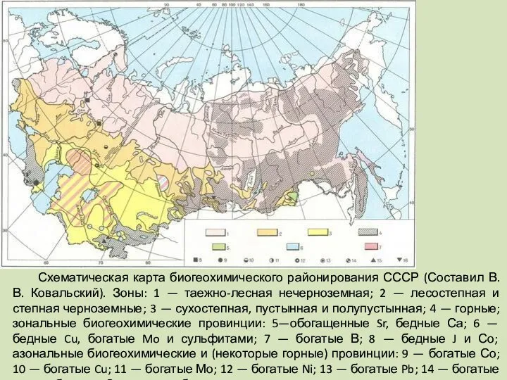 Схематическая карта биогеохимического районирования СССР (Составил В. В. Ковальский). Зоны: 1