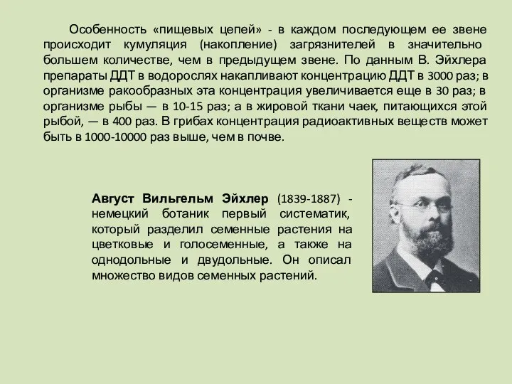 Особенность «пищевых цепей» - в каждом последующем ее звене происходит кумуляция