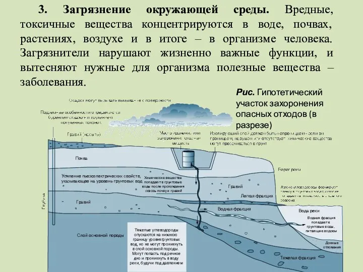 3. Загрязнение окружающей среды. Вредные, токсичные вещества концентрируются в воде, почвах,