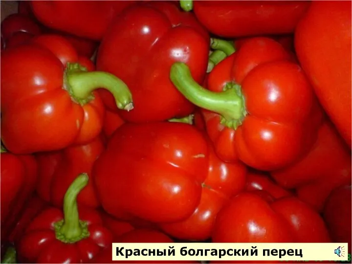 Красный болгарский перец
