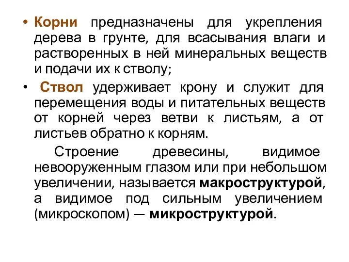 Корни предназначены для укрепления дерева в грунте, для всасывания влаги и