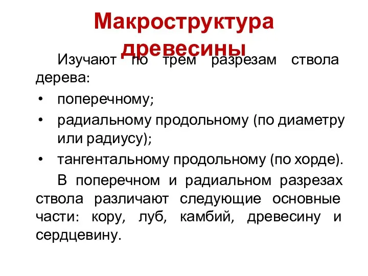 Макроструктура древесины Изучают по трем разрезам ствола дерева: поперечному; радиальному продольному