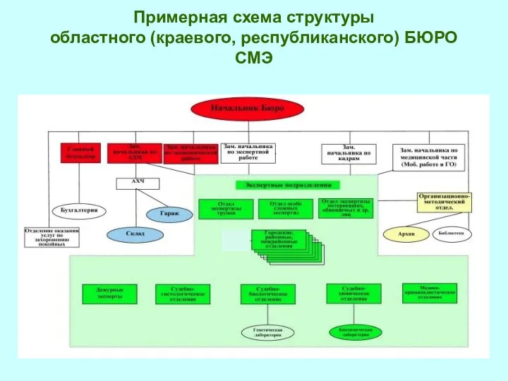 Примерная схема структуры областного (краевого, республиканского) БЮРО СМЭ