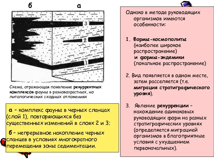 Схема, отражающая появление рекуррентных комплексов фауны в разновозрастных, но литологических сходных