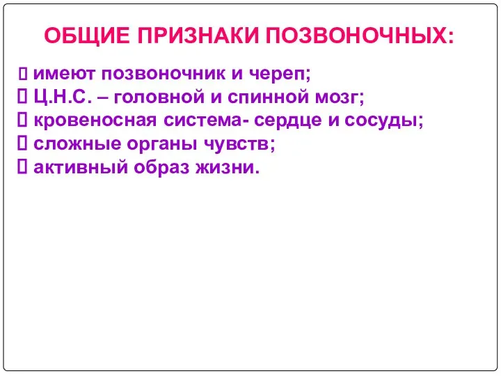 ОБЩИЕ ПРИЗНАКИ ПОЗВОНОЧНЫХ: имеют позвоночник и череп; Ц.Н.С. – головной и