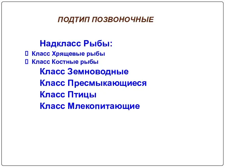 ПОДТИП ПОЗВОНОЧНЫЕ Надкласс Рыбы: Класс Хрящевые рыбы Класс Костные рыбы Класс