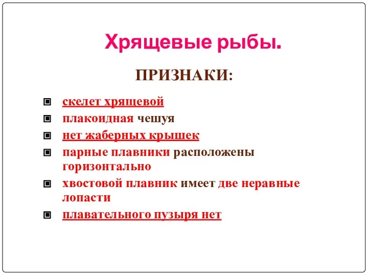 Хрящевые рыбы. скелет хрящевой плакоидная чешуя нет жаберных крышек парные плавники