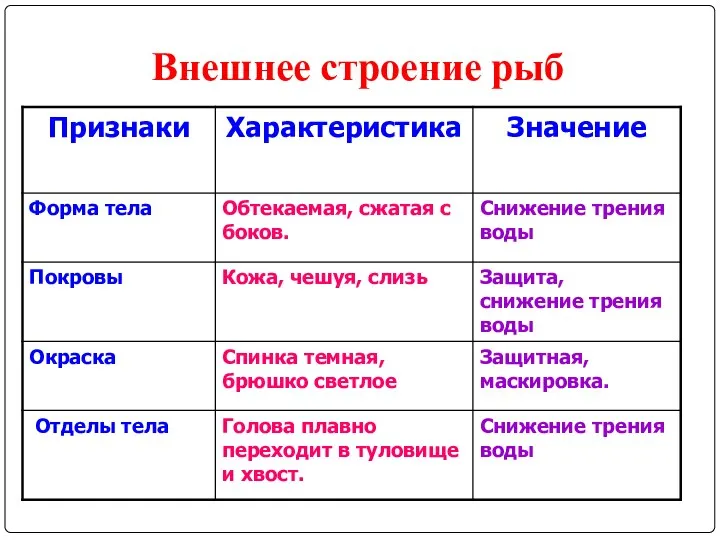 Внешнее строение рыб