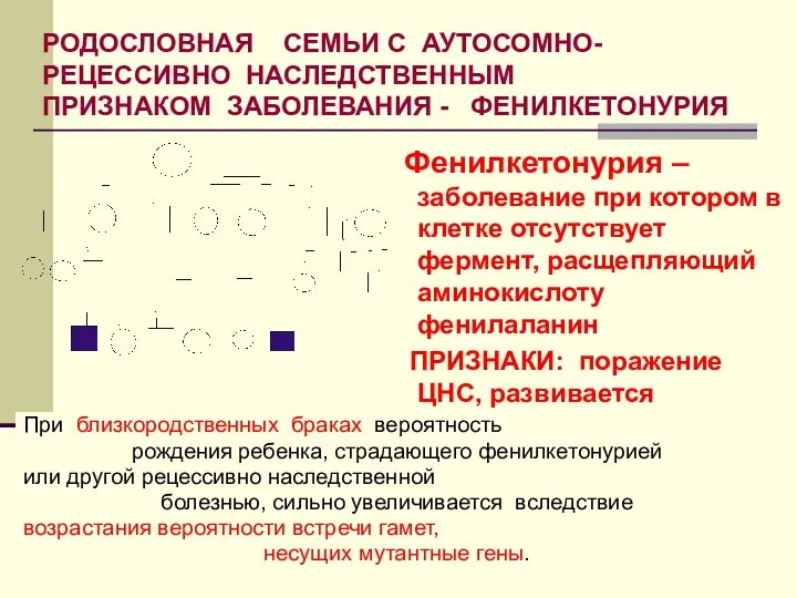 РОДОСЛОВНАЯ СЕМЬИ С АУТОСОМНО- РЕЦЕССИВНО НАСЛЕДСТВЕННЫМ ПРИЗНАКОМ ЗАБОЛЕВАНИЯ - ФЕНИЛКЕТОНУРИЯ Фенилкетонурия