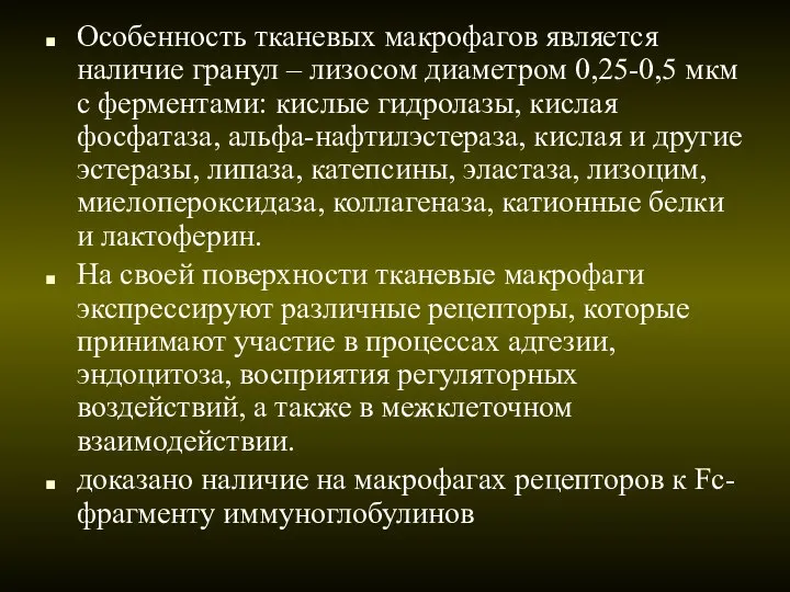 Особенность тканевых макрофагов является наличие гранул – лизосом диаметром 0,25-0,5 мкм