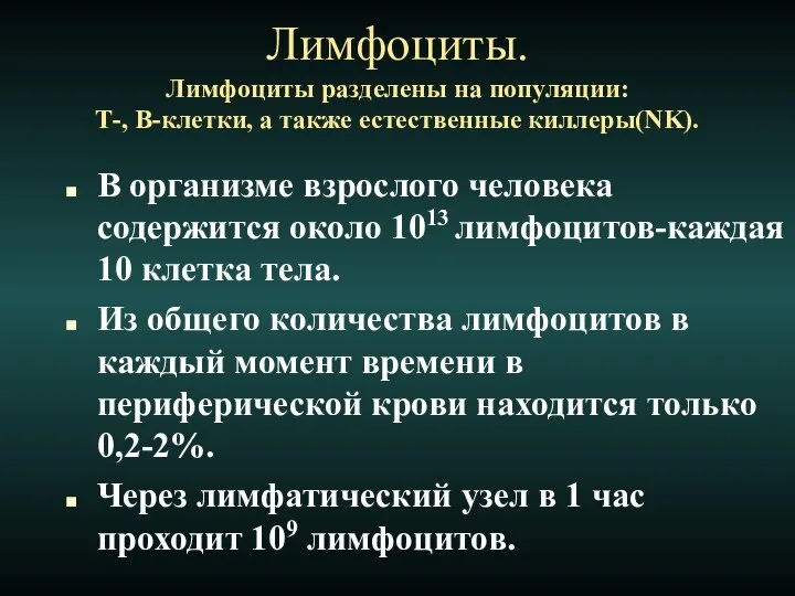 Лимфоциты. Лимфоциты разделены на популяции: Т-, B-клетки, а также естественные киллеры(NK).