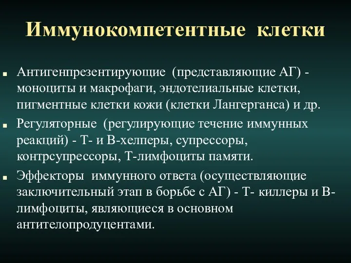 Иммунокомпетентные клетки Антигенпрезентирующие (представляющие АГ) -моноциты и макрофаги, эндотелиальные клетки, пигментные