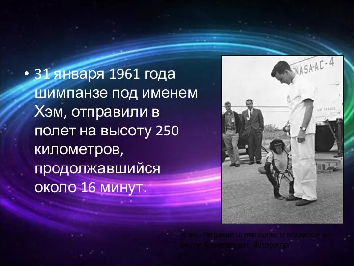 31 января 1961 года шимпанзе под именем Хэм, отправили в полет