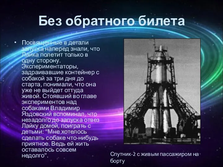 Без обратного билета Посвященные в детали запуска наперед знали, что Лайка