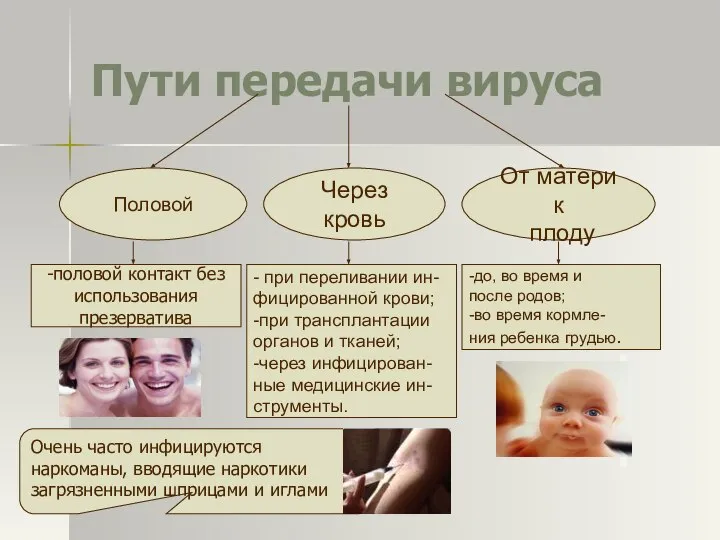 Пути передачи вируса Через кровь Половой От матери к плоду -