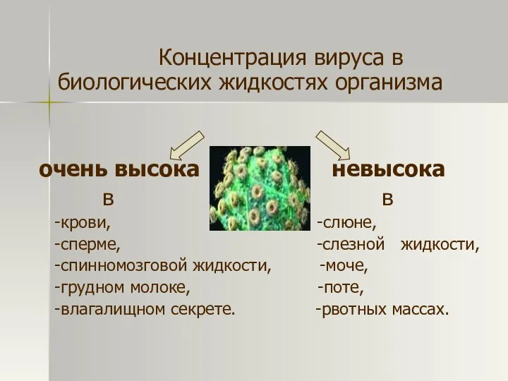 Концентрация вируса в биологических жидкостях организма очень высока невысока в в