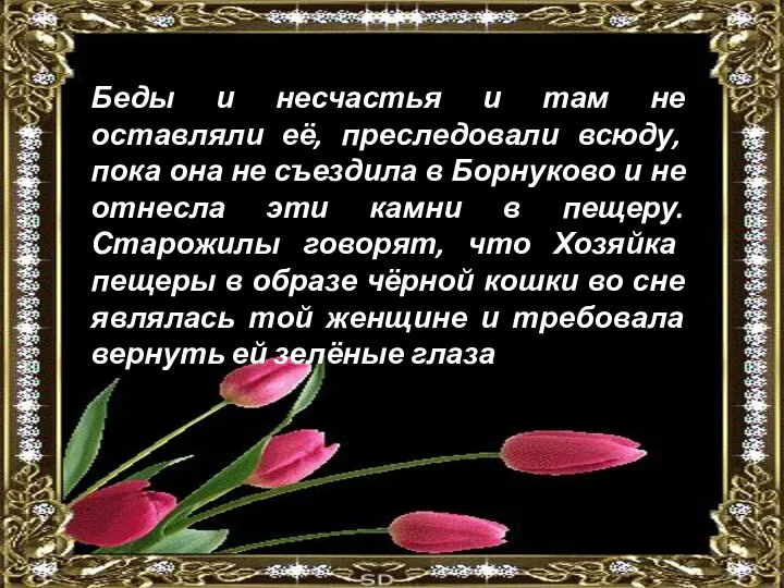 Беды и несчастья и там не оставляли её, преследовали всюду, пока