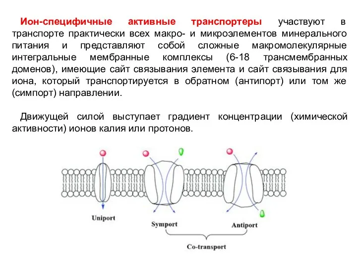 Ион-специфичные активные транспортеры участвуют в транспорте практически всех макро- и микроэлементов