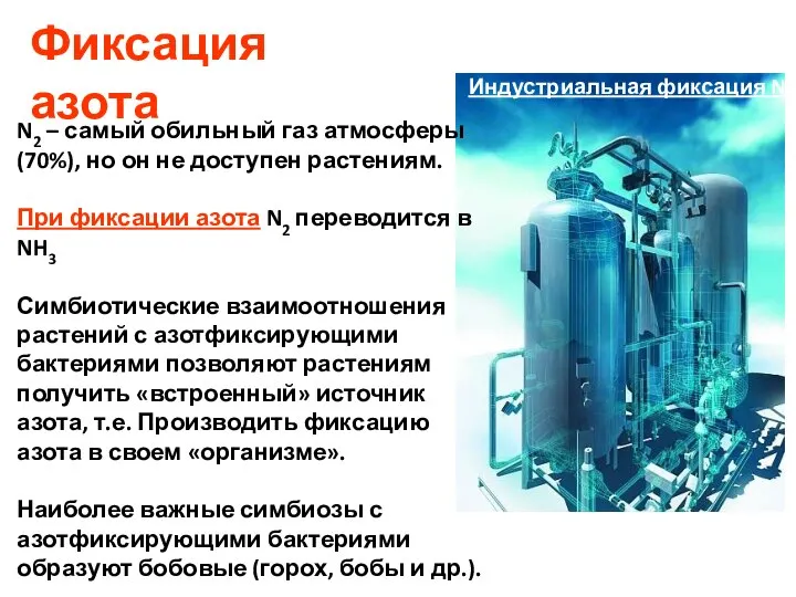 Фиксация азота Индустриальная фиксация N2 N2 – самый обильный газ атмосферы