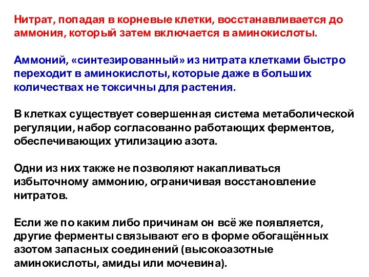 Нитрат, попадая в корневые клетки, восстанавливается до аммония, который затем включается