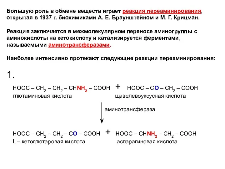 Большую роль в обмене веществ играет реакция переаминирования, открытая в 1937