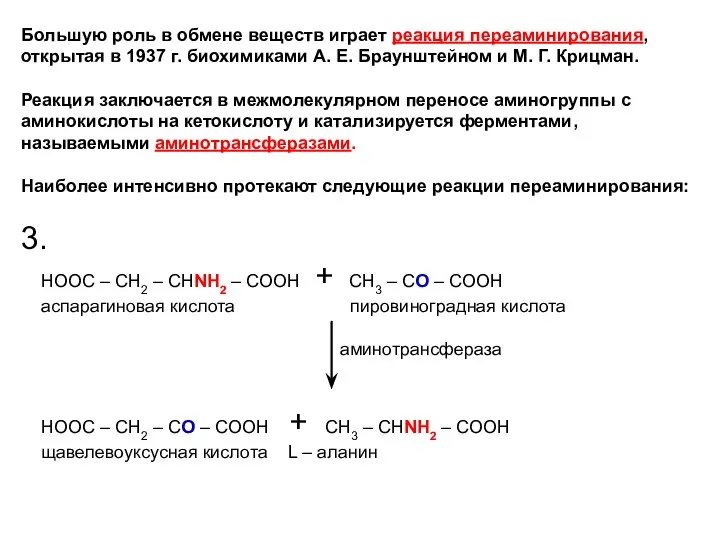 Большую роль в обмене веществ играет реакция переаминирования, открытая в 1937
