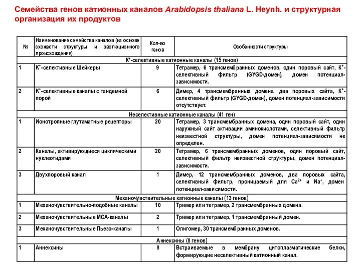 Семейства генов катионных каналов Arabidopsis thaliana L. Heynh. и структурная организация их продуктов