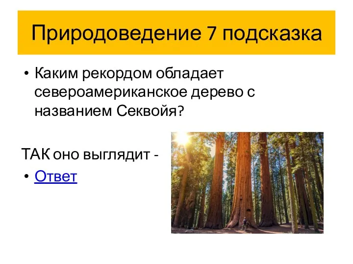 Природоведение 7 подсказка Каким рекордом обладает североамериканское дерево с названием Секвойя? ТАК оно выглядит - Ответ