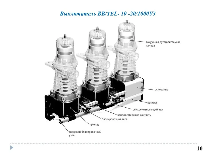 10 Выключатель ВВ/TEL- 10 -20/1000У3