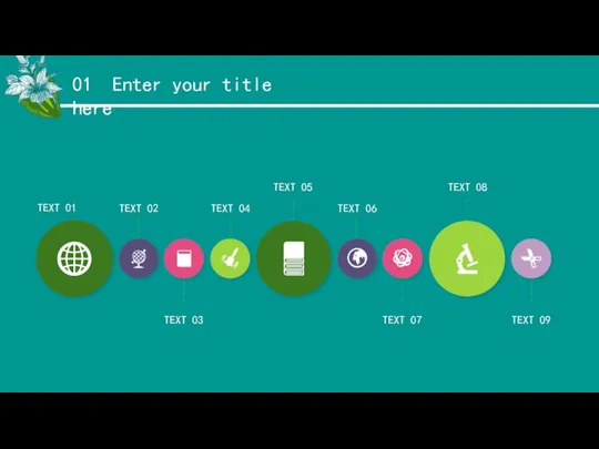 01 Enter your title here TEXT 01 TEXT 05 TEXT 08