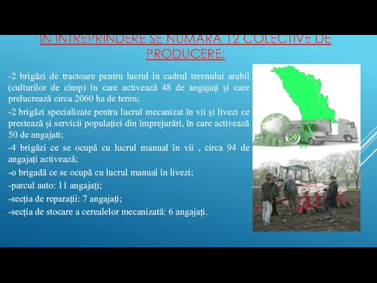 ÎN ÎNTREPRINDERE SE NUMARĂ 12 COLECTIVE DE PRODUCERE: -2 brigăzi de