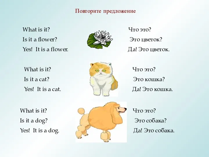 Повторите предложение What is it? Что это? Is it a flower?