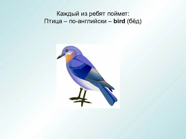 Каждый из ребят поймет: Птица – по-английски – bird (бёд)