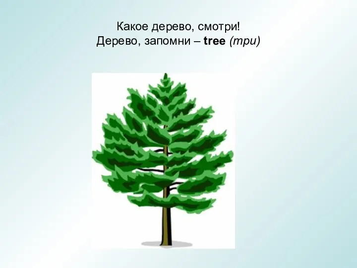 Какое дерево, смотри! Дерево, запомни – tree (три)