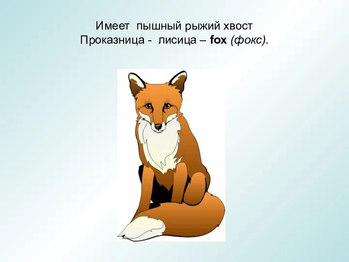 Имеет пышный рыжий хвост Проказница - лисица – fox (фокс).