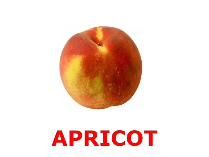 APRICOT