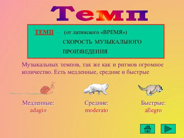 Темп Музыкальных темпов, так же как и ритмов огромное количество. Есть