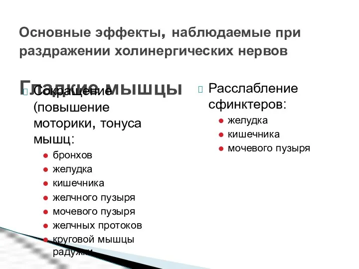 Основные эффекты, наблюдаемые при раздражении холинергических нервов Гладкие мышцы Сокращение (повышение