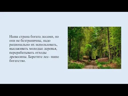 Наша страна богата лесами, но они не безграничны, надо рационально их