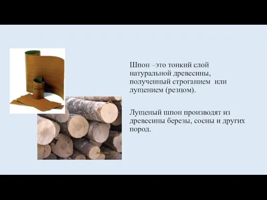 Шпон –это тонкий слой натуральной древесины, полученный строганием или лущением (резцом).