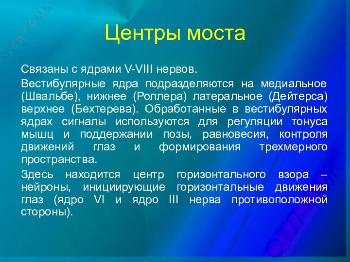 Центры моста Связаны с ядрами V-VIII нервов. Вестибулярные ядра подразделяются на