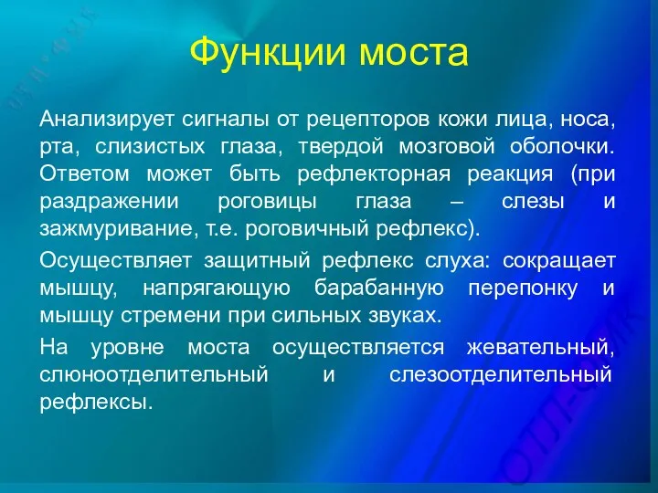 Функции моста Анализирует сигналы от рецепторов кожи лица, носа, рта, слизистых