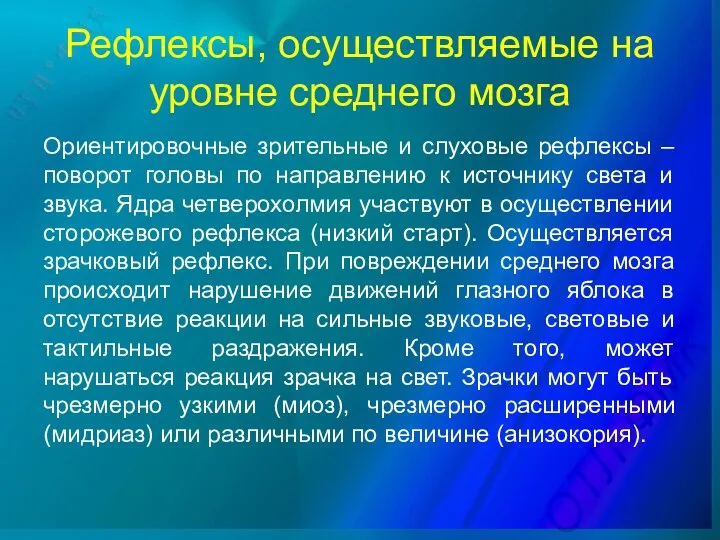 Рефлексы, осуществляемые на уровне среднего мозга Ориентировочные зрительные и слуховые рефлексы