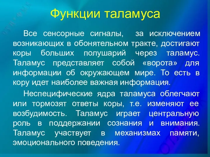 Все сенсорные сигналы, за исключением возникающих в обонятельном тракте, достигают коры