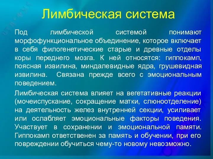 Лимбическая система Под лимбической системой понимают морфофункциональное объединение, которое включает в