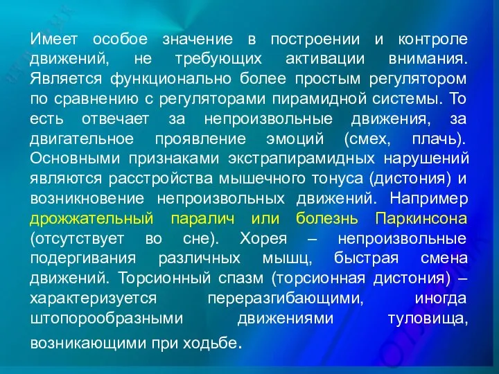 Имеет особое значение в построении и контроле движений, не требующих активации