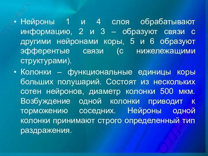 Нейроны 1 и 4 слоя обрабатывают информацию, 2 и 3 –