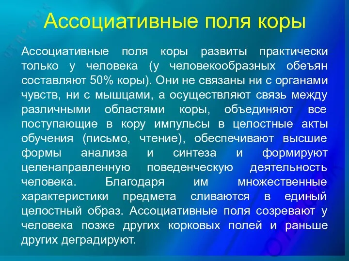 Ассоциативные поля коры Ассоциативные поля коры развиты практически только у человека