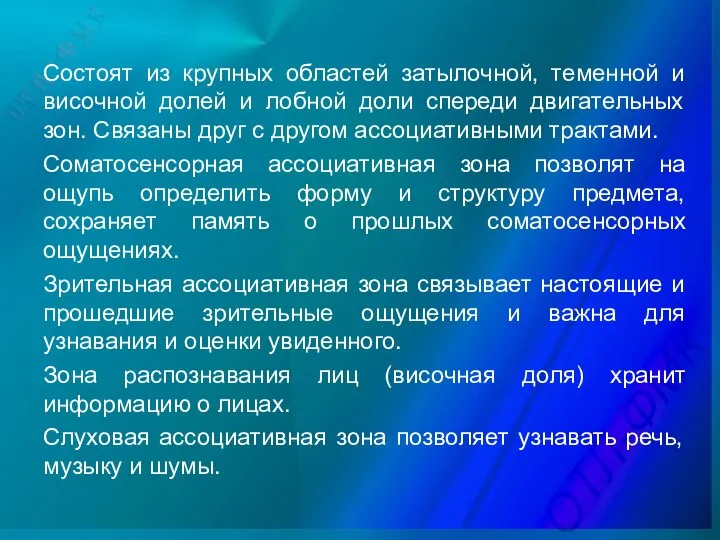 Состоят из крупных областей затылочной, теменной и височной долей и лобной