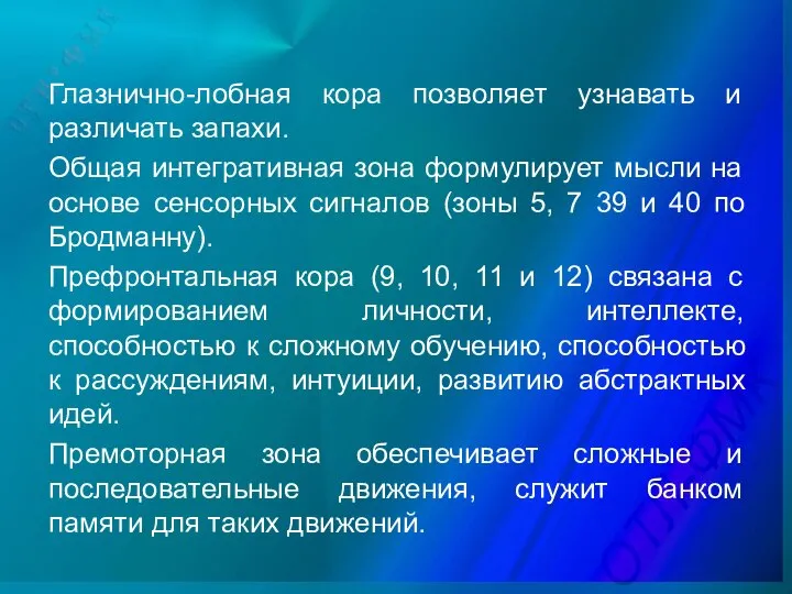 Глазнично-лобная кора позволяет узнавать и различать запахи. Общая интегративная зона формулирует